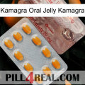 Kamagra Oral Jelly Kamagra new13